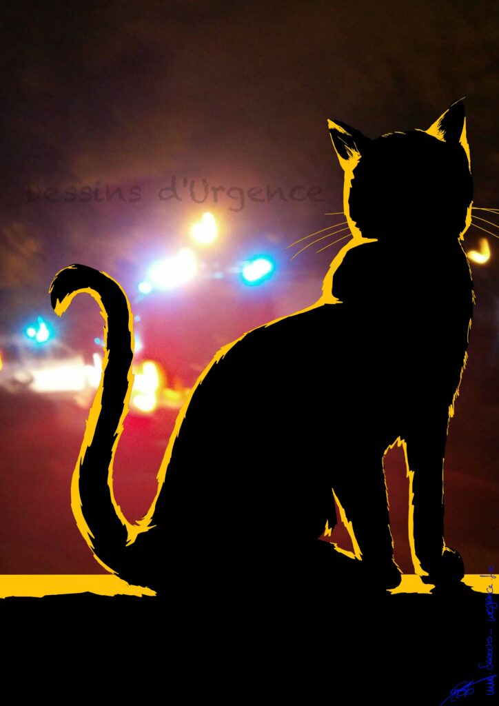 Chat noir