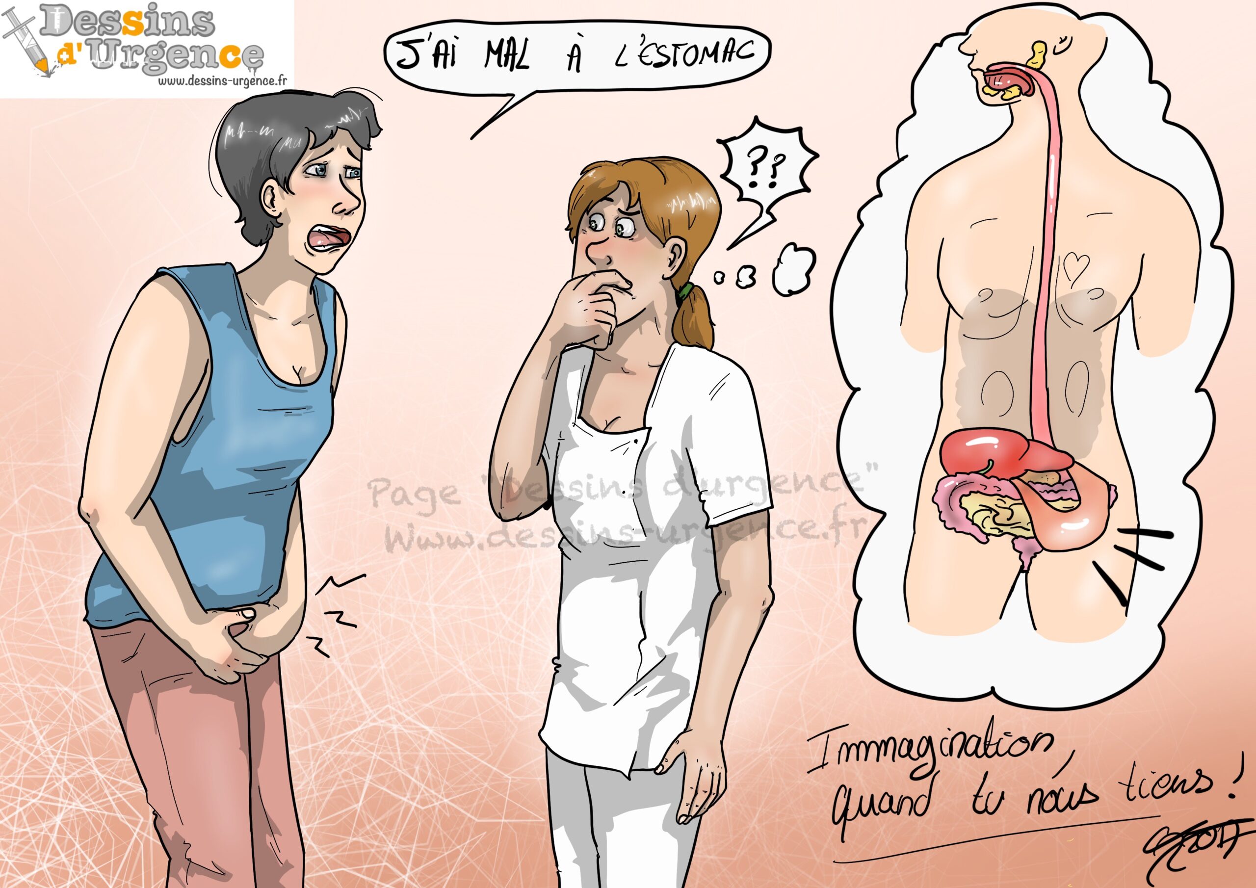 Anatomie