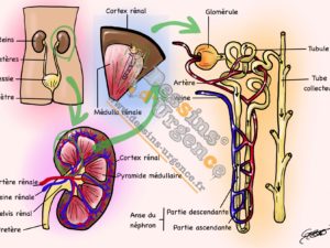 2016TFE_Reins