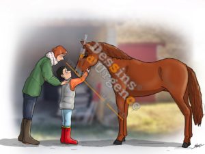 2017TFE_Equithérapie