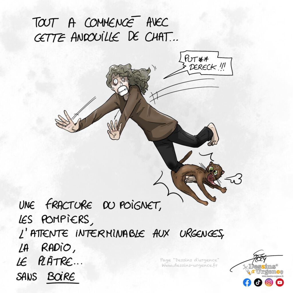 Martine trébuche sur le chat