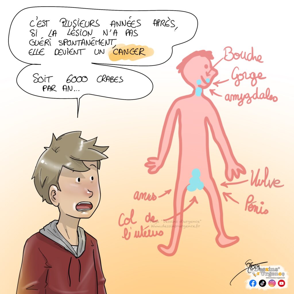 un ado explique l'anatomie